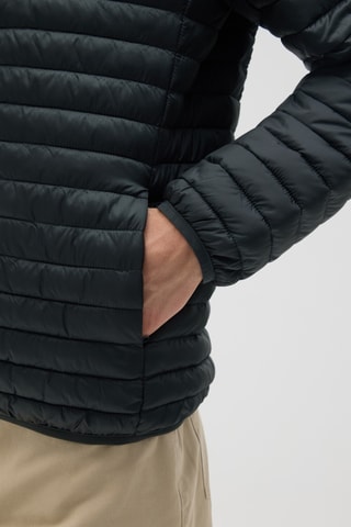 Gewatteerde Jas - Donkergroen