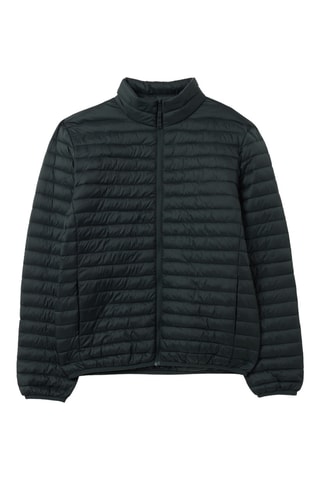 Gewatteerde Jas - Donkergroen