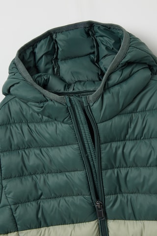 Gewatteerde jas met capuchon - Groen