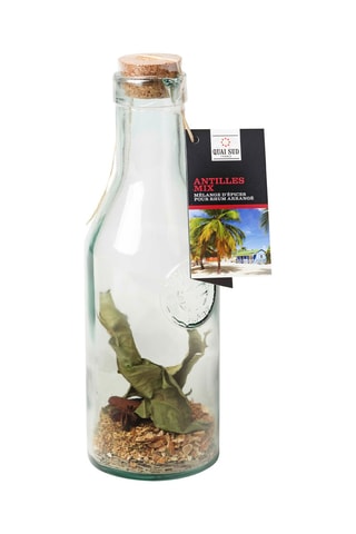 Mélange Antilles Mix avec bouteille 40 g
