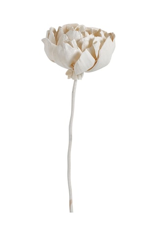 Ramo de 3 decorações vegetais secas - Branco