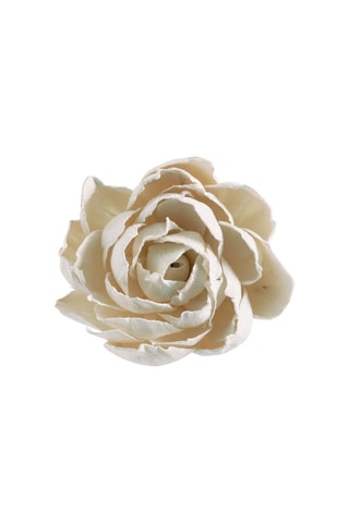 Ramo de 3 decorações vegetais secas - Branco