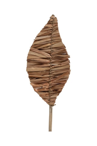 Ramo de 3 decorações vegetais secas - Rosa