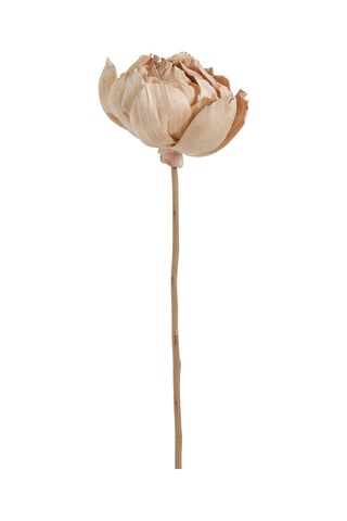 Ramo de 3 decorações vegetais secas - Rosa