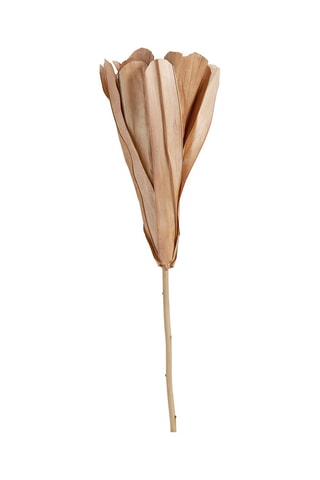 Ramo de 3 decorações vegetais secas - Rosa