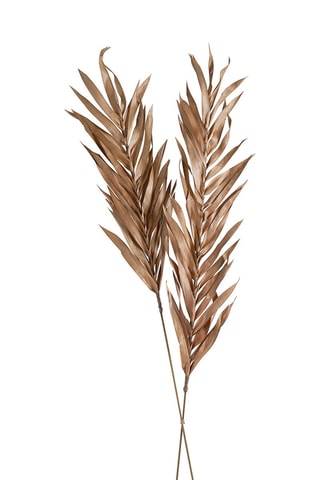 Decoração vegetal seca - Rosa