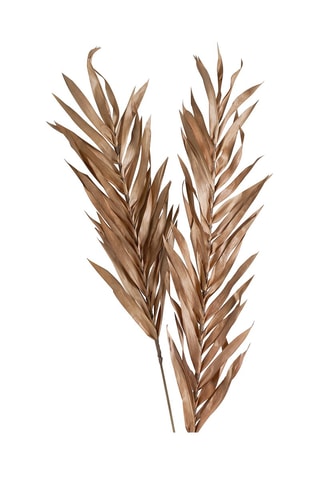 Decoração vegetal seca - Rosa