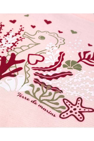 Sweater Disweet Zachtroze Terre de Marins