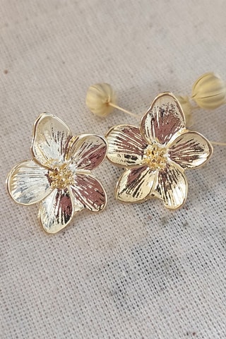 Boucles d'oreilles - Plaqué or jaune