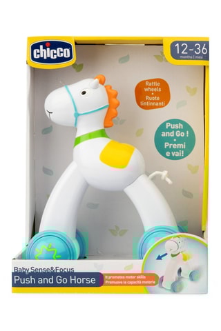 Cavalo Push and Go - A partir dos 12 meses