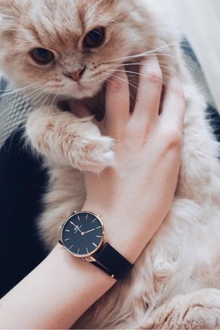 Montre à quartz en cuir et plaqué or rose Petite Sheffield