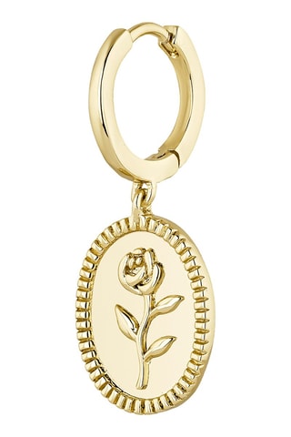 Argola Prata folheada a ouro amarelo