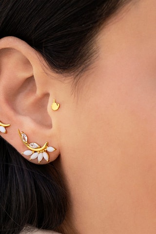 Brinco Prata banhada a ouro amarelo