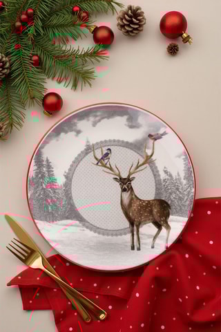 6 assiettes plates en céramique - 25,5 cm