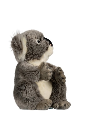 Peluche Koala - Dès 6 ans