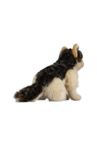 Peluche Loup - Dès 6 ans