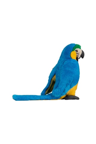 Peluche perroquet - Dès 6 ans