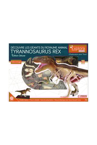 Modèle de T-Rex  Dès 8 ans