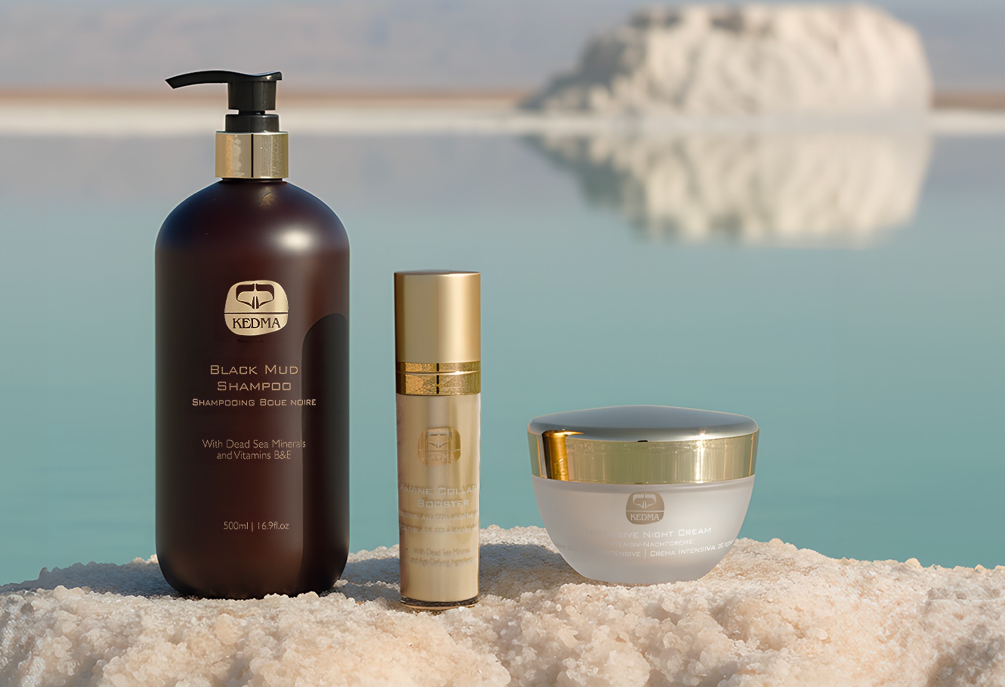 LORENZO en promo sur SHOWROOMPRIVÉ