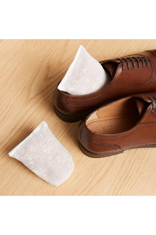 12 rafraîchisseurs de chaussures La Maison du Chausseur