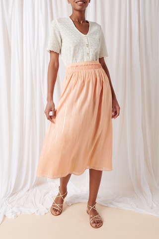 Saia comprida - 
Salmão