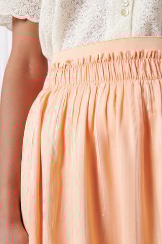 Saia comprida - 
Salmão