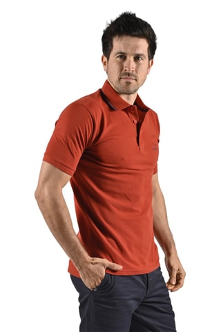 Polo Clasco Rood
