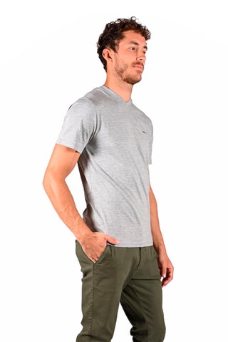 2 T-shirts Vitorio Grijs