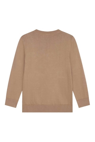 Pull - Beige - Boss