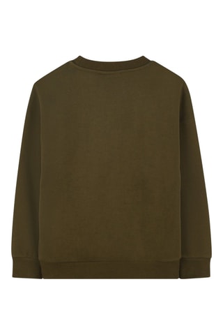 Sweat en coton biologique - Kaki - Timberland