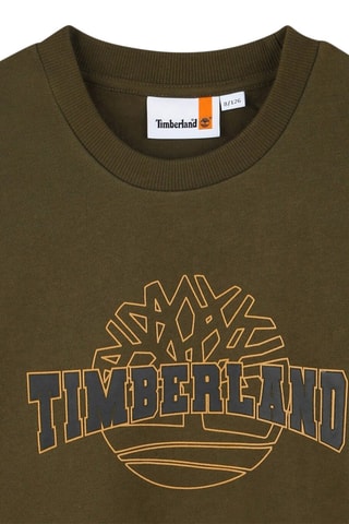 Sweat en coton biologique - Kaki - Timberland