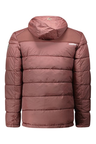 Gewatteerde Jas met Capuchon Beachweak - Bruin