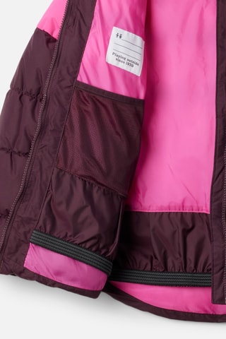 Gewatteerde Jas met Capuchon Arctic Blast™ III - Bordeauxrood