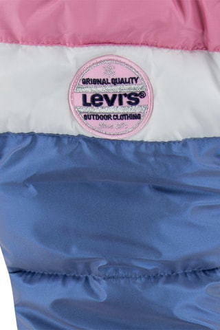 Gewatteerde Jas met Capuchon Blauw en Roze