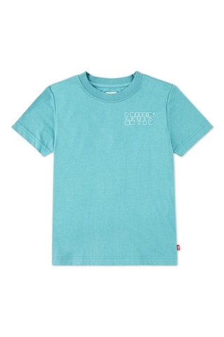 T-shirt - Wit en blauw