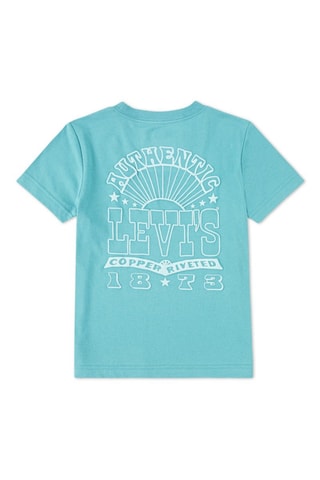 T-shirt - Wit en blauw