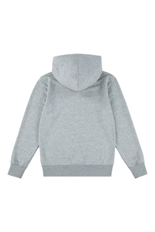 Sweater met Capuchon - Grijs