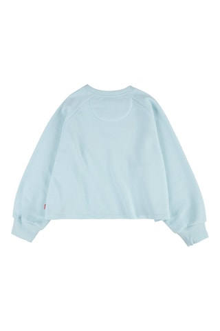 Sweater Blauw