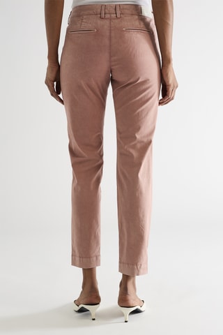 Chino - Rose
