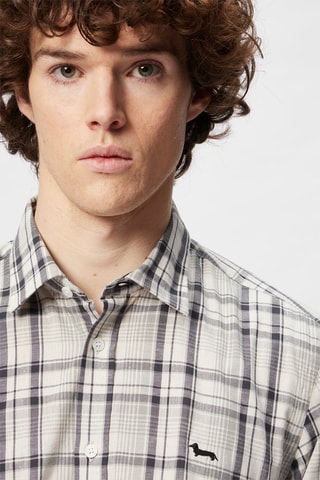 Chemise - Noir - Harmont & Blaine