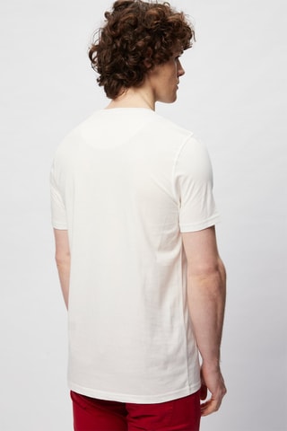 T-shirt Branco - Harmont & Blaine