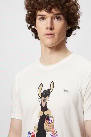 T-shirt Branco - Harmont & Blaine