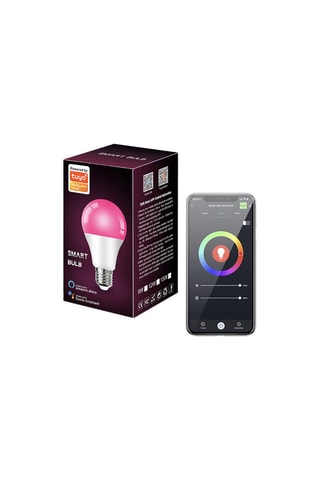 Ledpeertje E27 Eko - RGB+W - Alexa - Google Assistant 