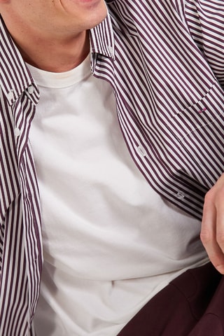 Chemise Précision Stripe - Bordeaux