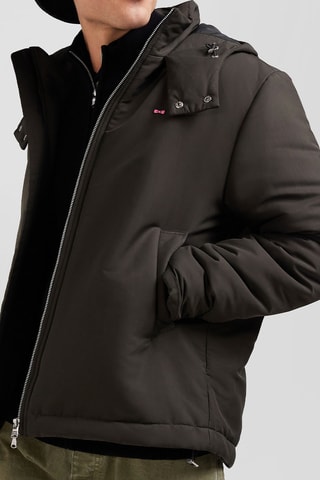 Blouson à capuche Bysborn - Marron