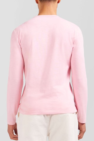 T-shirt Progression - Rose