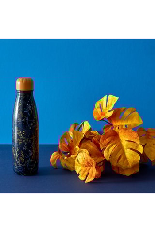 Coffret garrafa isotérmica em aço inoxidável - 50 cl