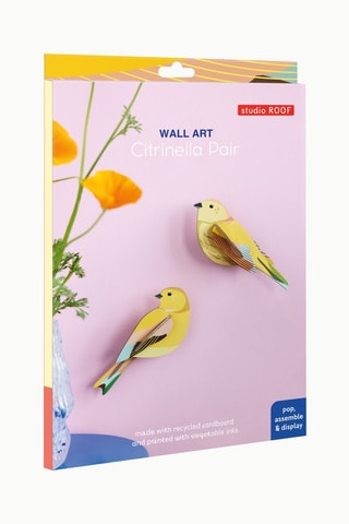 Decoração de parede Citrinella Pair - Amarelo