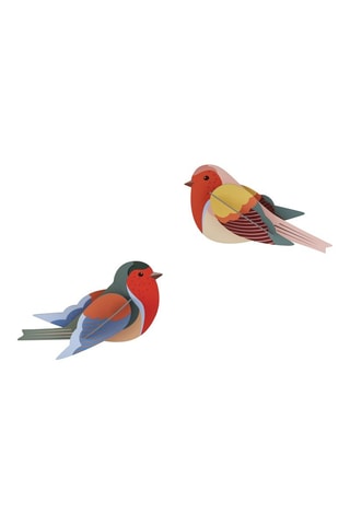 Decoração de parede Robins - Multicolor