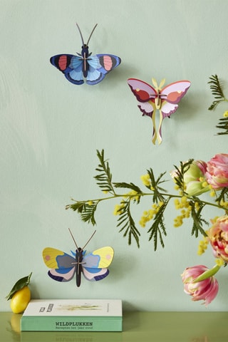 Decoração de parede Peacock butterfly - Azul e rosa